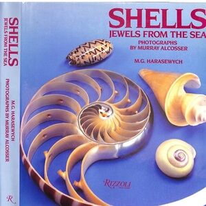 Rizzoli Shells: Jewels from the Sea - Blue and Gold Cover
